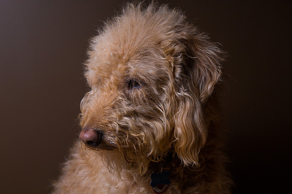 Oscar Portrait