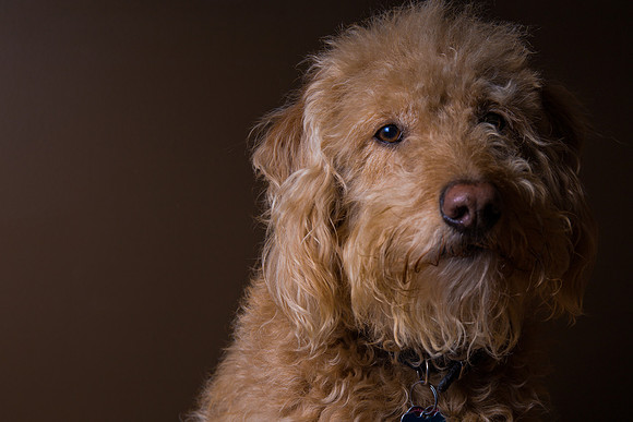 Oscar Portrait