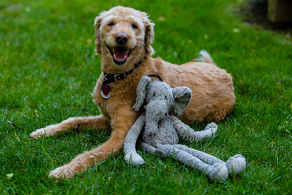 Oscar and Ellie
