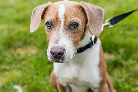 Sam (Male)